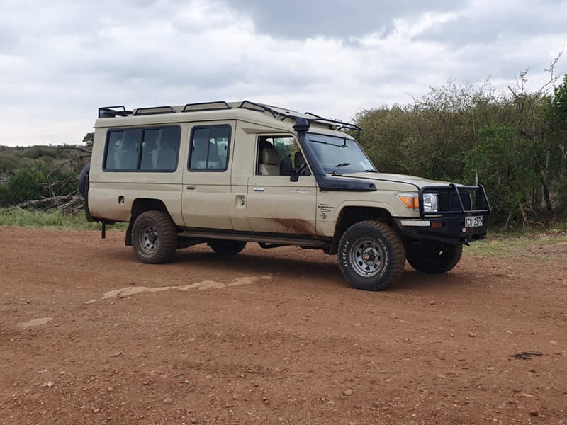 Safari Landcruiser